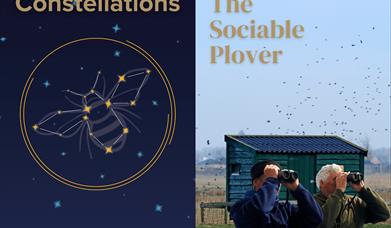 Frinton Summer Theatre - Constellations & The Social Plover: Double Bill