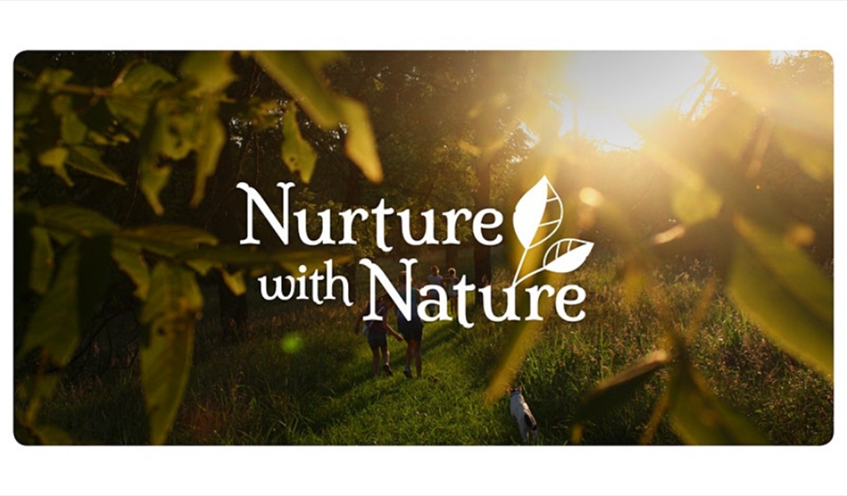 Nurture with Nature logo with trees and sunshine in the background