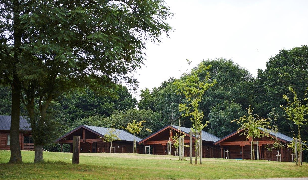 view of 3 log cabins through trees