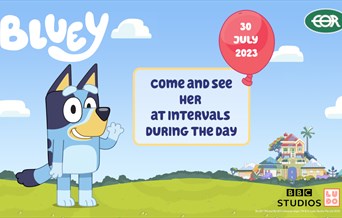 NEW for 2023! Come and See Bluey