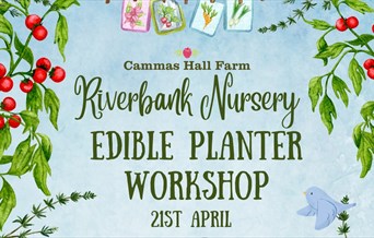 Edible Planter Workshop