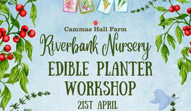 Edible Planter Workshop