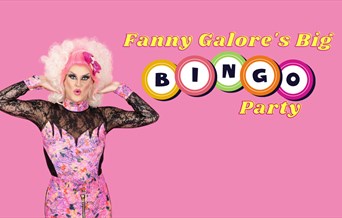 Fanny Galore's Big Bingo Party
