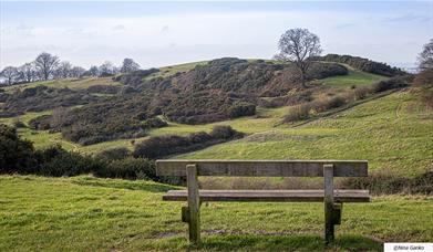 Hadleigh Country Park