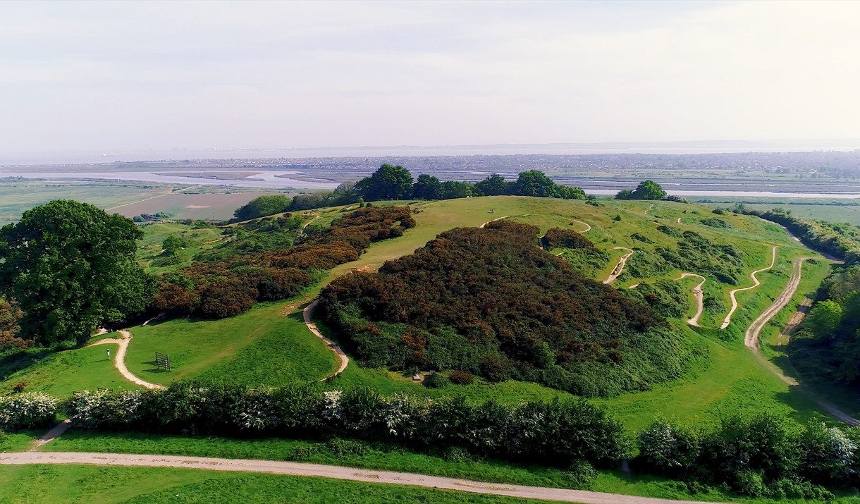 Hadleigh Country Park from the air