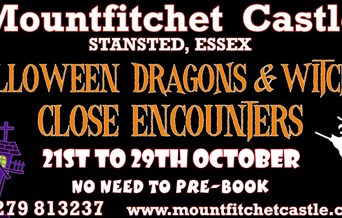 Halloween Dragons & Witches Close Encounters