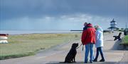Harwich beach dog walk