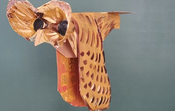 Flapping Owl Craft