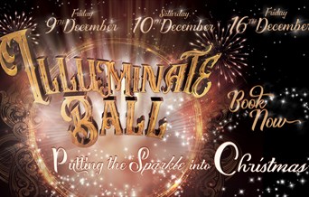 Illuminate Christmas Ball