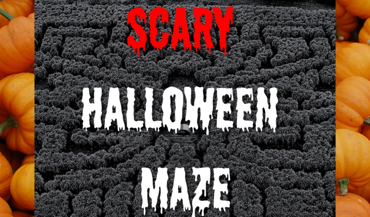 Scary Halloween Maze logo