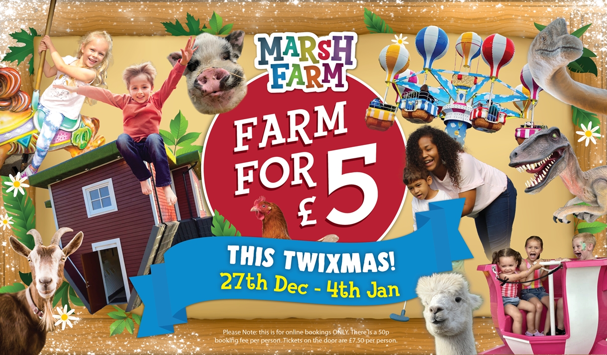 Product Image Product Image