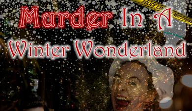 Murder Mystery Evening: Murder in a Winter Wonderland