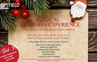 Magical Christmas Experience at Hopefield Animal Sanctuary