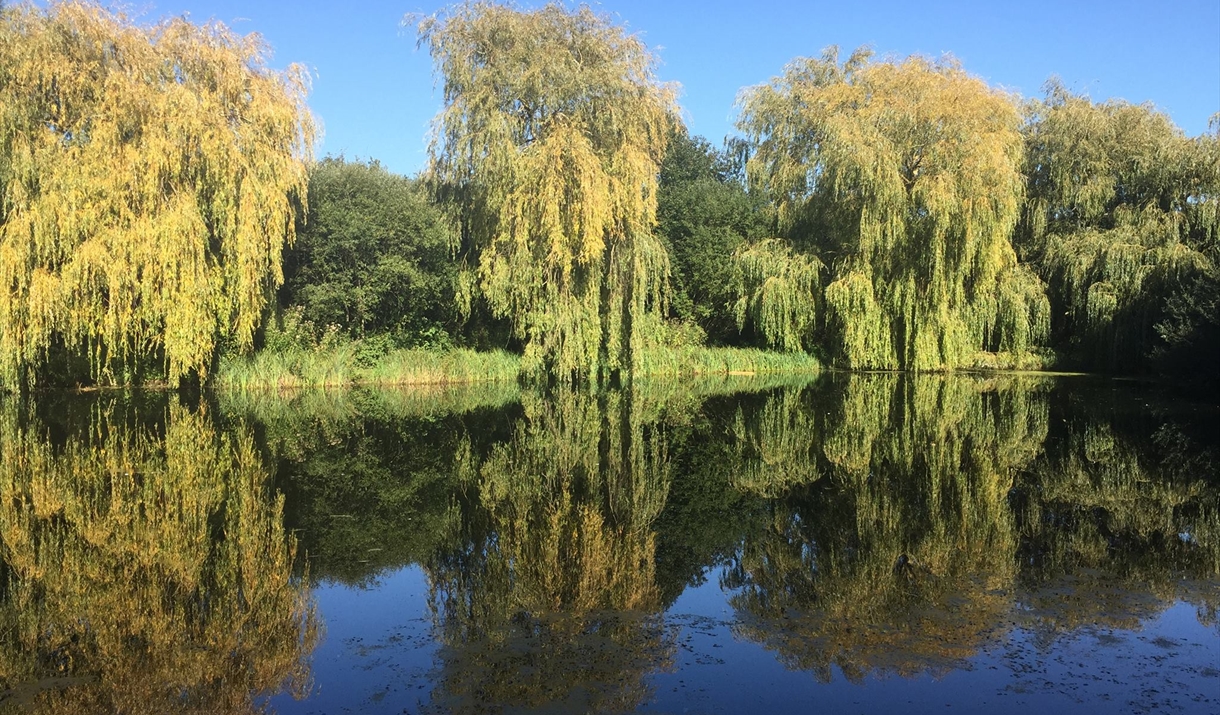 Newland Hall Fishery Newland Hall Fishery