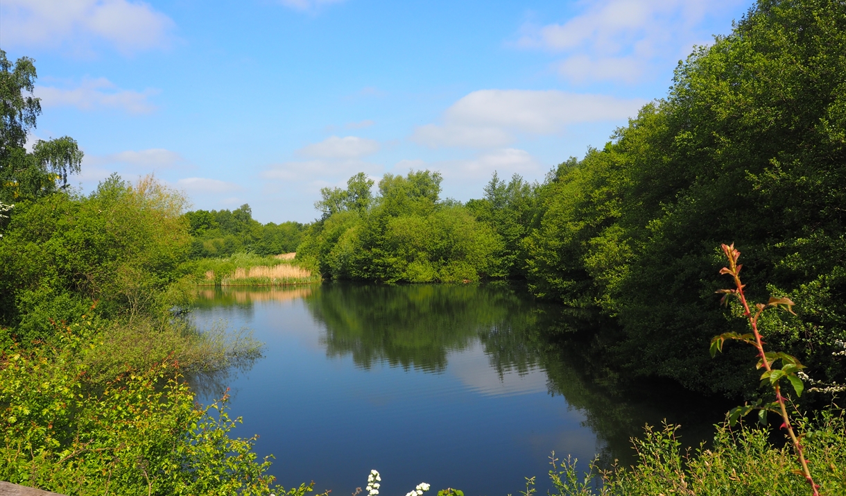 Fingringhoe Wick North View