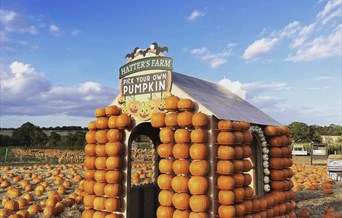 Hatter's Farm Pumpkin Picking