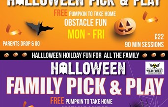 Halloween Pick & Play - Family Sessions