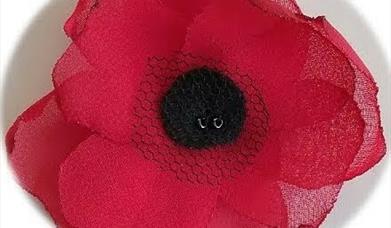 Creative Net: Remembrance Poppies