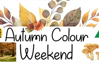 Autumn Colour Weekend