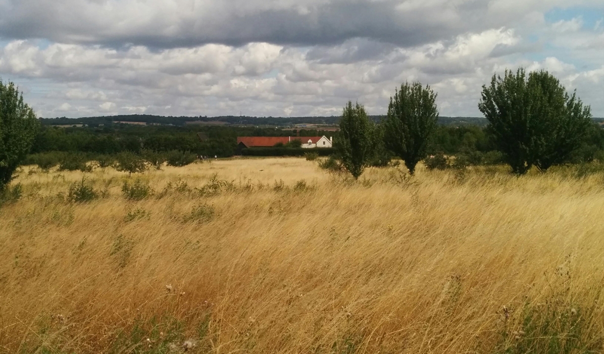 Thames Chase community Centre