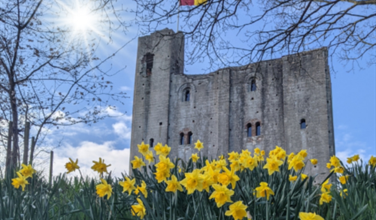 Product Image Product Image