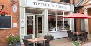Tiptree Tea Room at The Courtyard, Saffron Walden
