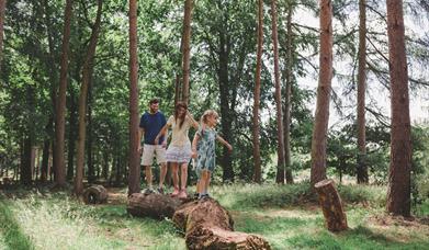 The Fairhurst Family enjoying The Wild Wood at Markshall Estate