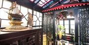 The Starhouse | Conservatory Futuristic Japanese teahouse and Shinto vivarium