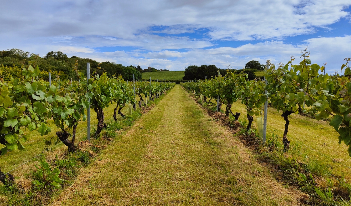 Product Image Product Image