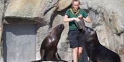 Animal care team hosting a encounter with the sea lion