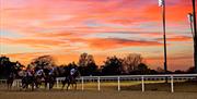Horses racing at sunset at Chelmsford City Racecourse with the champagne flute floodlights in sight