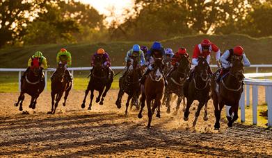 Horses racing in golden hour at Chelmsford City Racecourse