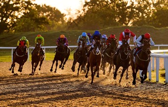 Horses racing in golden hour at Chelmsford City Racecourse