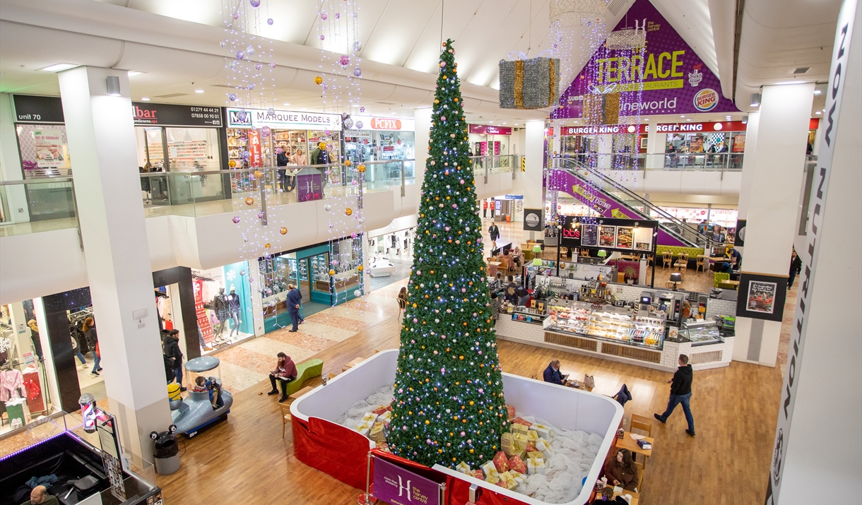 The Harvey Centre at Christmas