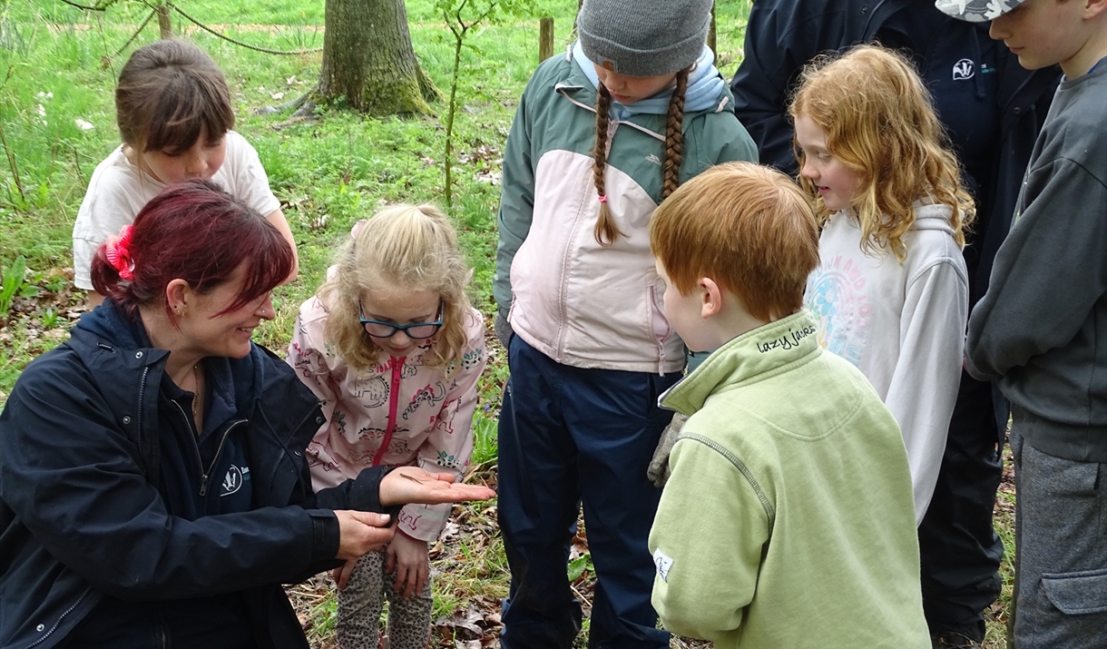 Product Image Product Image