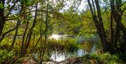 Weald Country Park