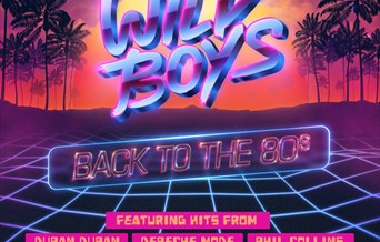 Wild Boys - Back to the 80s