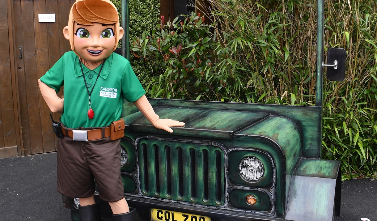 Product Image Product Image