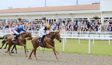 Horse racing at Chelmsford City Racecourse