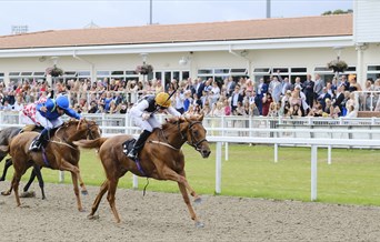 Horse racing at Chelmsford City Racecourse