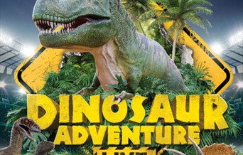 Dino Adventure Live