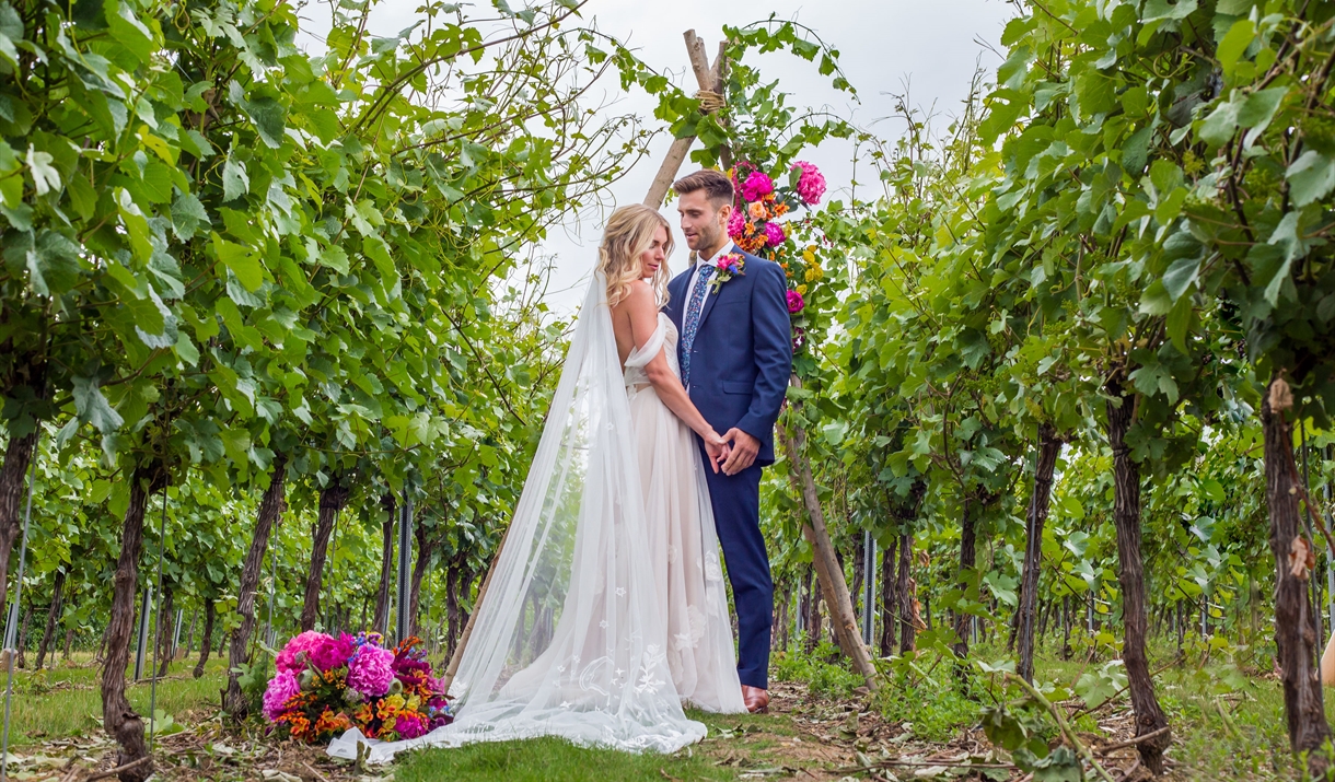 Summertime wedding in the vines