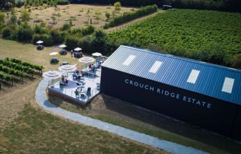 Crouch Ridge Vineyard