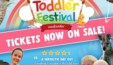 Toddler Festival