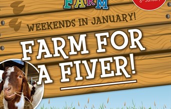 Farm Fun for a Fiver!