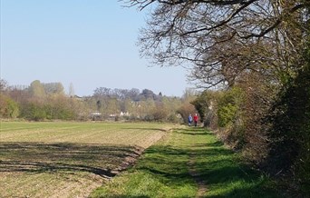 countryside Walks