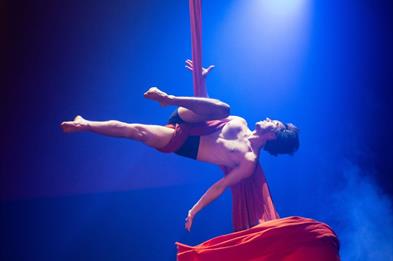 Sabotage by NoFit State Circus