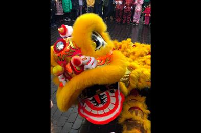 Chinese New Year of the Dragon