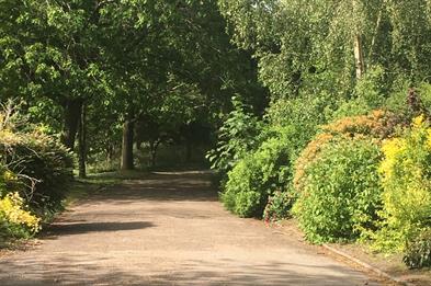 Fenton Park