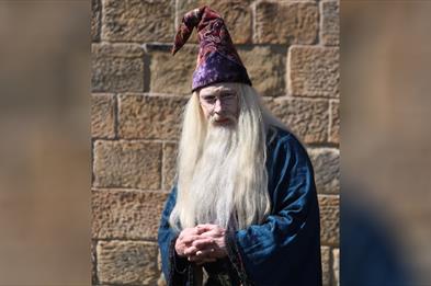 Witches and Wizards at Gladstone